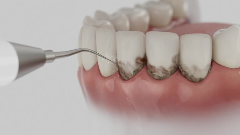 Reliable Dental contractor in Lowell, AR by Dentist Open Now